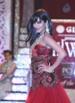 Celebs at IIJW 2013 Finale - 19 of 66