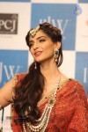 Celebs at IIJW 2013 Finale - 40 of 66