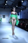Celebs at IRFW 2013 Day 1 - 28 of 32