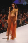 Celebs at LFW Winter Festive 2013 Day 1 - 87 of 106