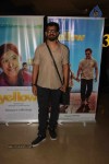 Celebs at Marathi Film Yellow Special Show - 1 of 46