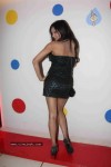 Celebs at Metro Cafe Lounge Restaurant Launch - 35 of 63
