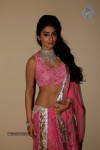 Celebs at No More Fear Fashion Show - 36 of 74