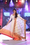 Celebs at Pidilite CPAA Fashion Show - 53 of 85