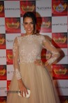 Celebs at Retail Jeweller India Awards 2014 - 34 of 119