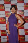 Celebs at Retail Jeweller India Awards 2014 - 39 of 119