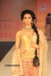 Celebs at Ritu Kumar Fashion Show - 52 of 80