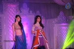 Celebs at Shehnai 2013 Show - 19 of 81