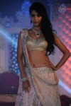 Celebs at Shehnai 2013 Show - 22 of 81