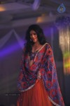 Celebs at Shehnai 2013 Show - 37 of 81