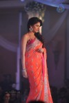 Celebs at Shehnai 2013 Show - 39 of 81
