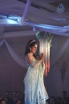 Celebs at Shehnai 2013 Show - 43 of 81