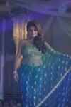 Celebs at Shehnai 2013 Show - 73 of 81