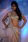 Celebs at Shehnai 2013 Show - 74 of 81
