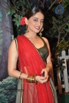 Celebs at Star Parivaar Awards 2013 - 52 of 161