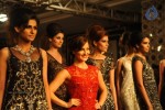 Celebs n Models Walks the Ramp at LFW 2014 - 5 of 110