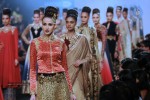 Celebs n Models Walks the Ramp at LFW 2014 - 50 of 110