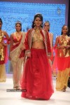 Celebs Walk the Ramp at IIJW 2011 Fashion Show - 3 of 137