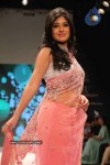 Celebs Walk the Ramp at IIJW 2011 Fashion Show - 133 of 137