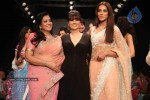 Celebs Walk the Ramp at IIJW 2011 Fashion Show - 47 of 137