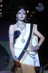 Celebs Walk the Ramp at IIJW 2011 Fashion Show - 77 of 137