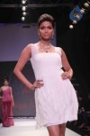 Celebs Walk the Ramp at IIJW 2011 Fashion Show - 86 of 137