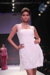 Celebs Walk the Ramp at IIJW 2011 Fashion Show - 86 of 137