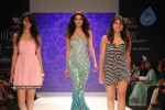 Celebs Walk the Ramp at IIJW 2011 Fashion Show - 91 of 137