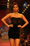 Celebs Walk the Ramp at IIJW 2011 Fashion Show - 103 of 137