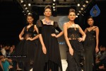 Celebs Walk the Ramp at IIJW 2011 Fashion Show Day 2 - 6 of 113