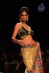 Celebs Walk the Ramp at IIJW 2011 Fashion Show Day 2 - 8 of 113