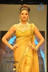 Celebs Walk the Ramp at IIJW 2011 Fashion Show Day 2 - 9 of 113