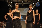 Celebs Walk the Ramp at IIJW 2011 Fashion Show Day 2 - 18 of 113