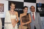 Celebs Walk the Ramp at IIJW 2011 Fashion Show Day 2 - 22 of 113