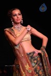 Celebs Walk the Ramp at IIJW 2011 Fashion Show Day 2 - 37 of 113