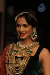 Celebs Walks the Ramp at IIJW 2012 - 1 of 297