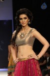 Celebs Walks the Ramp at IIJW 2012 - 8 of 297