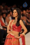 Celebs Walks the Ramp at IIJW 2012 - 13 of 297