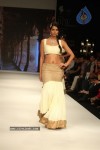 Celebs Walks the Ramp at IIJW 2012 - 14 of 297