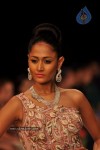 Celebs Walks the Ramp at IIJW 2012 - 26 of 297