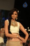 Celebs Walks the Ramp at IIJW 2012 - 28 of 297