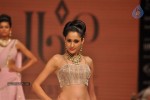 Celebs Walks the Ramp at IIJW 2012 - 29 of 297