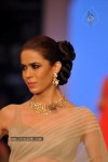 Celebs Walks the Ramp at IIJW 2012 - 31 of 297