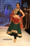 Celebs Walks the Ramp at IIJW 2012 - 43 of 297