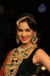 Celebs Walks the Ramp at IIJW 2012 - 46 of 297