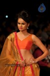 Celebs Walks the Ramp at IIJW 2012 - 54 of 297
