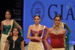 Celebs Walks the Ramp at IIJW 2012 - 60 of 297