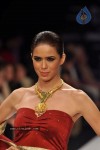 Celebs Walks the Ramp at IIJW 2012 - 77 of 297