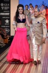 Celebs Walks the Ramp at IIJW 2012 - 93 of 297