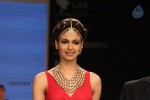 Celebs Walks the Ramp at IIJW 2012 - 113 of 297